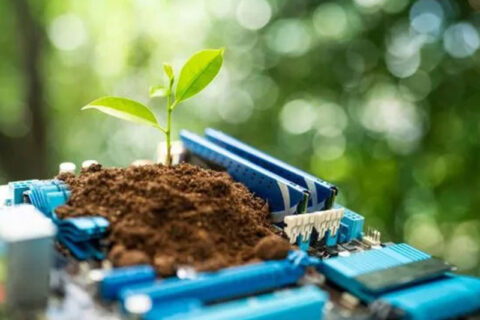 A plant growing on a computer motherboard