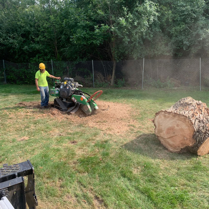 man using a stump grinder