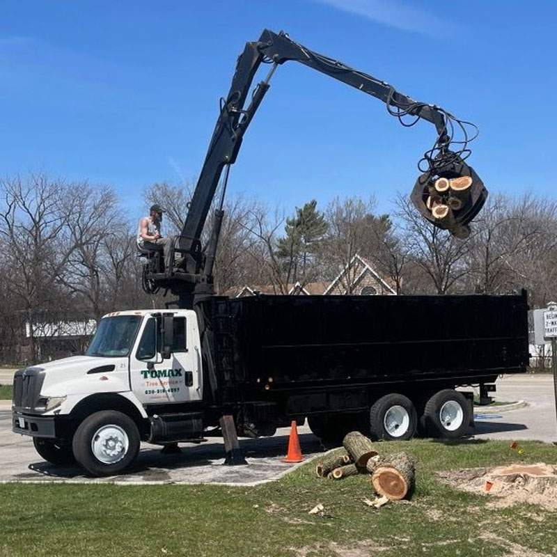 tree removal truck