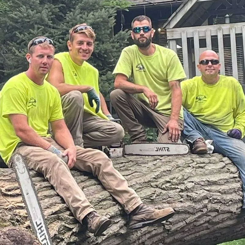 Expert Tree Care Team Cutting Large Fallen Tree at a Home Site in Westmont, IL