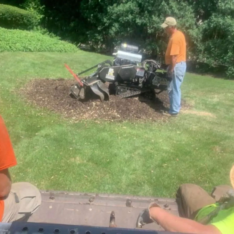 man using a stump grinder